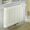  Zehnder Charleston 3040 трубчатый радиатор 